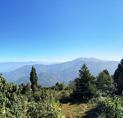 Kalimpong Scenic Escape Tour