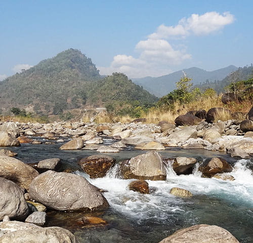 Dooars Jungle River Tour